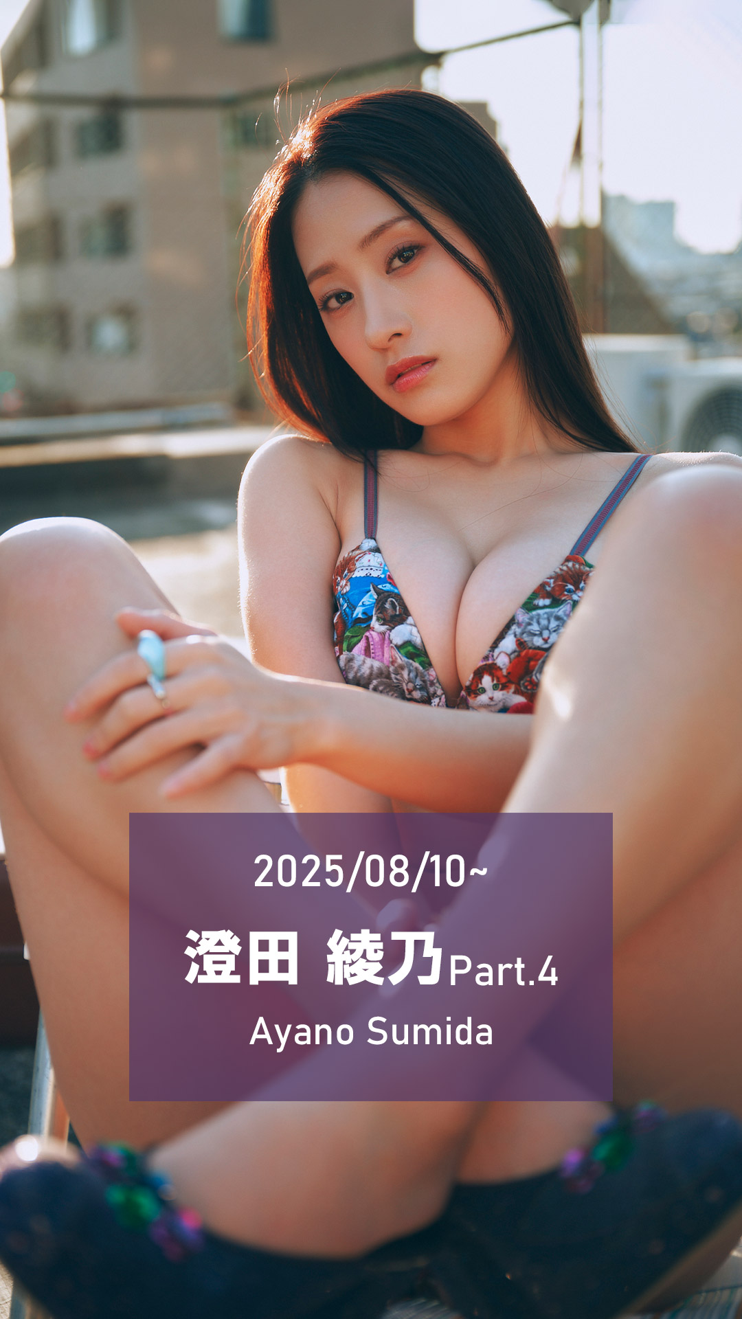 G(グラビア)ザテレビジョン Vol.51 G(グラビア)ザテレビジョン Vol.51 カドカワムック | HMV&BOOKS